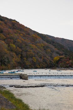 Peaceful view of Katsura River in Kyoto during autumn with colorful foliage and boats.