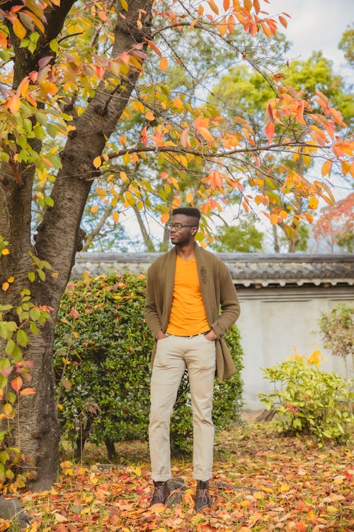 Free Full length of self assured young African American male in trendy clothes and eyeglasses standing in picturesque autumn park with hands in pockets near lake Stock Photo