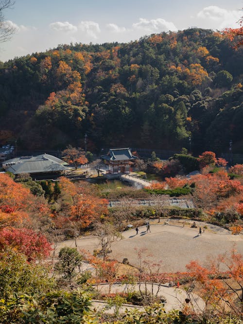 Small village near green forest