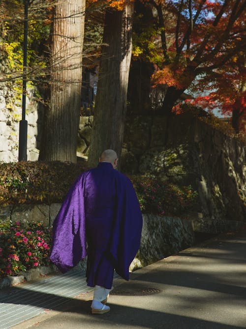 Monk in purple robe walking in temple garden