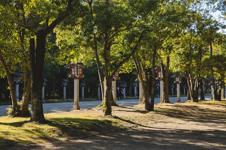 Green Trees Near Medieval Japanese Street Lanterns