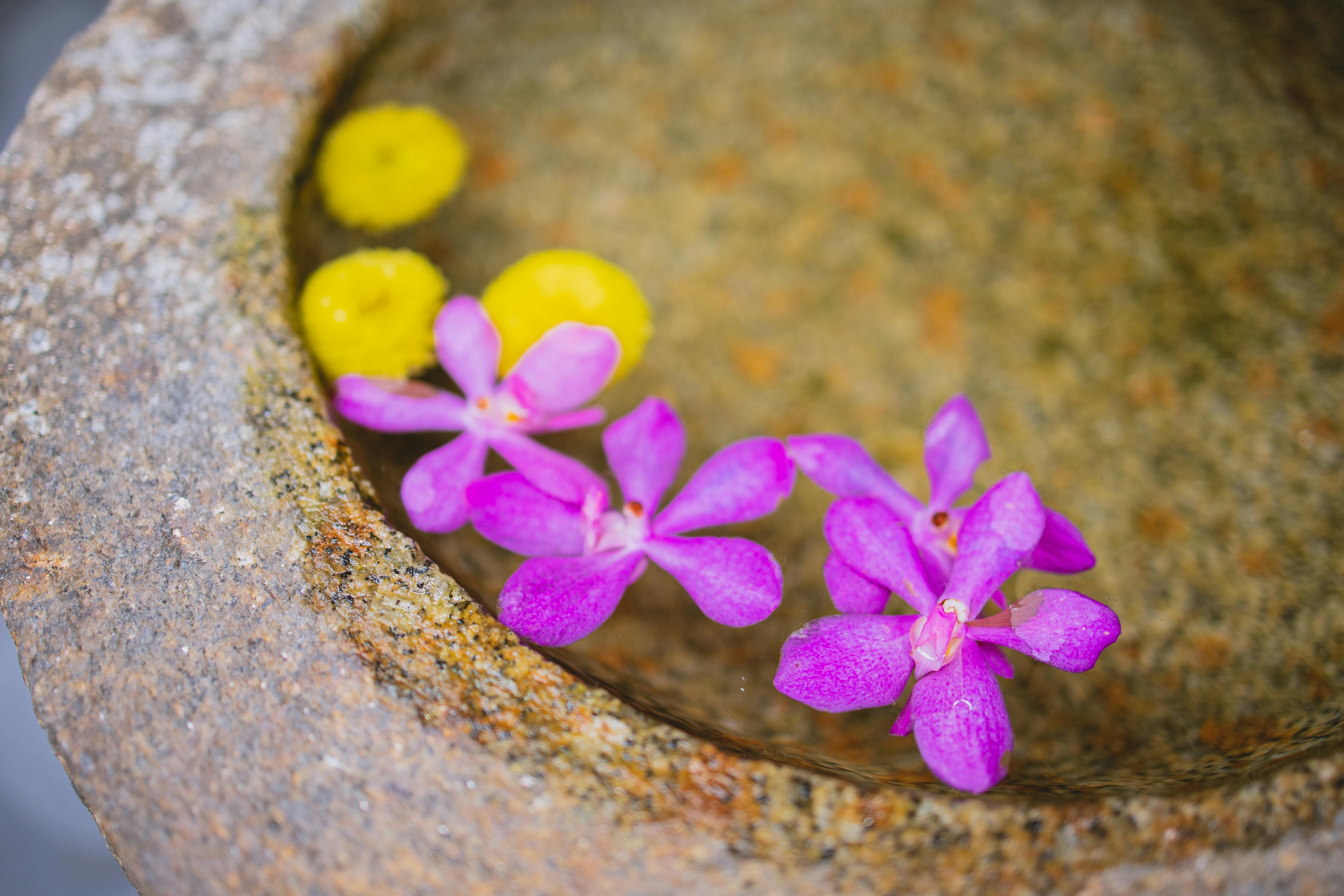 granite pot with water with violet orchid and yellow flowers