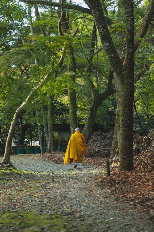 Full body back view of unrecognizable bald Buddhist monk in yellow kasaya clothing walking alone along woods