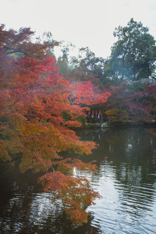 Free Picturesque scenery of calm water of pond placed among colorful trees in autumn park in daylight Stock Photo
