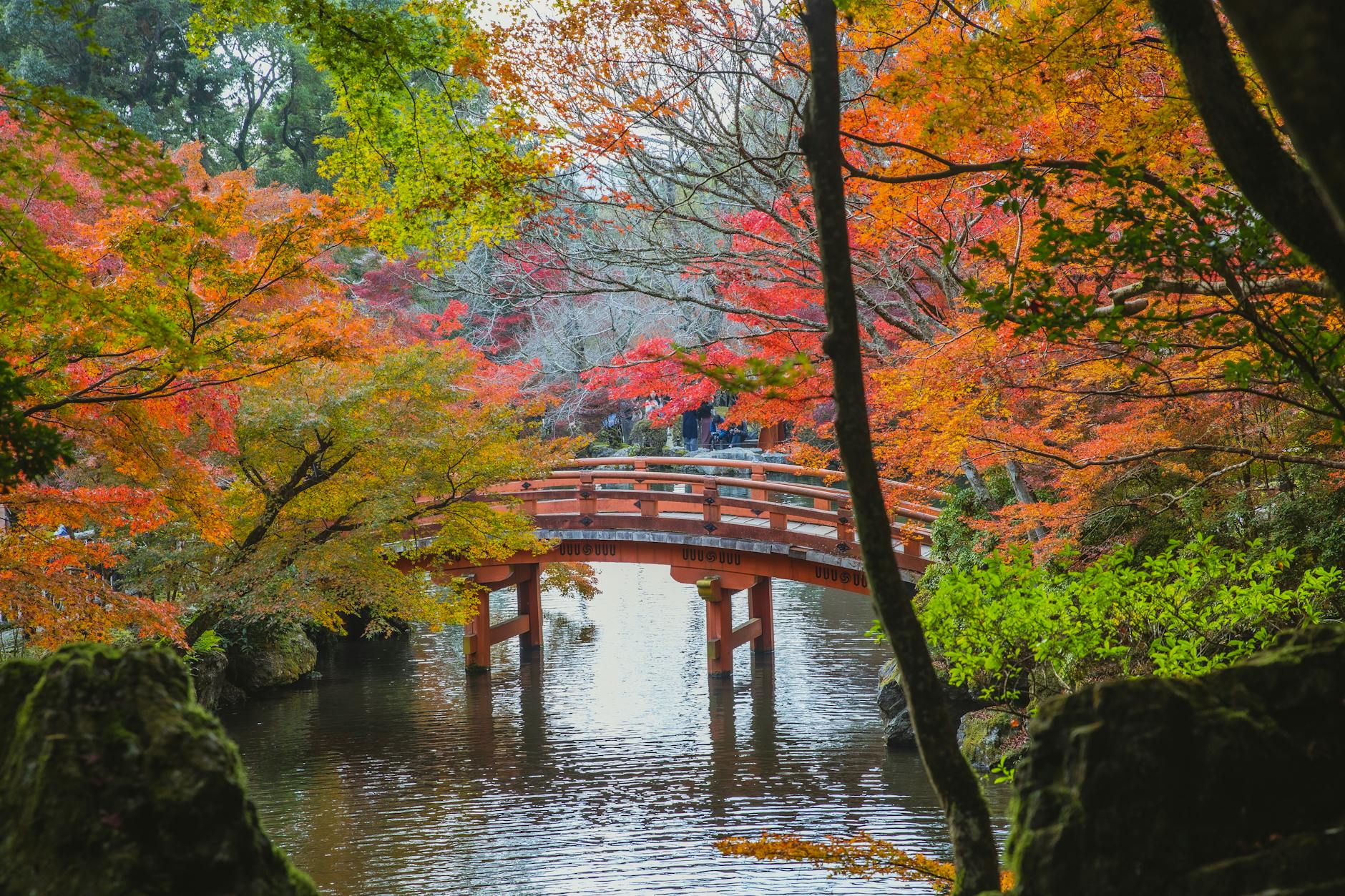 Arched bridge over calm lake in Japanese park
