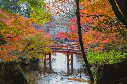 Weather Traditions at US Fall Festivals