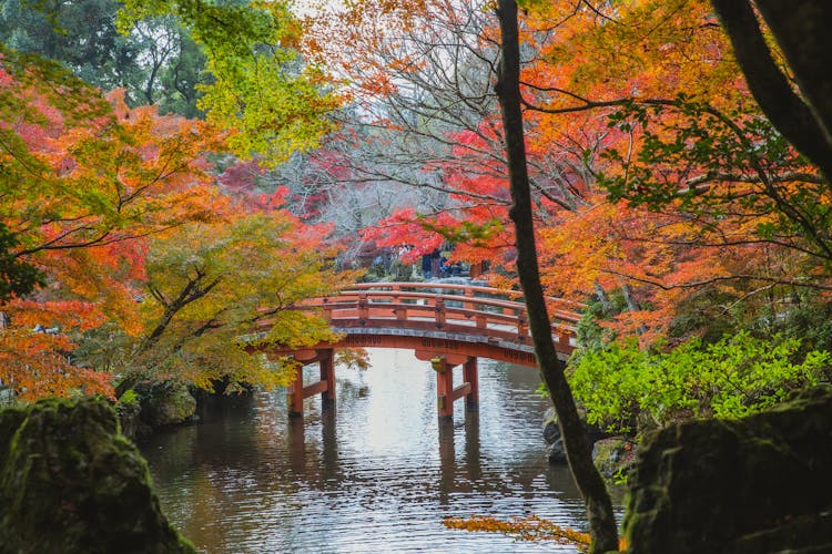 Arched Bridge Over Calm Lake In Japanese Park