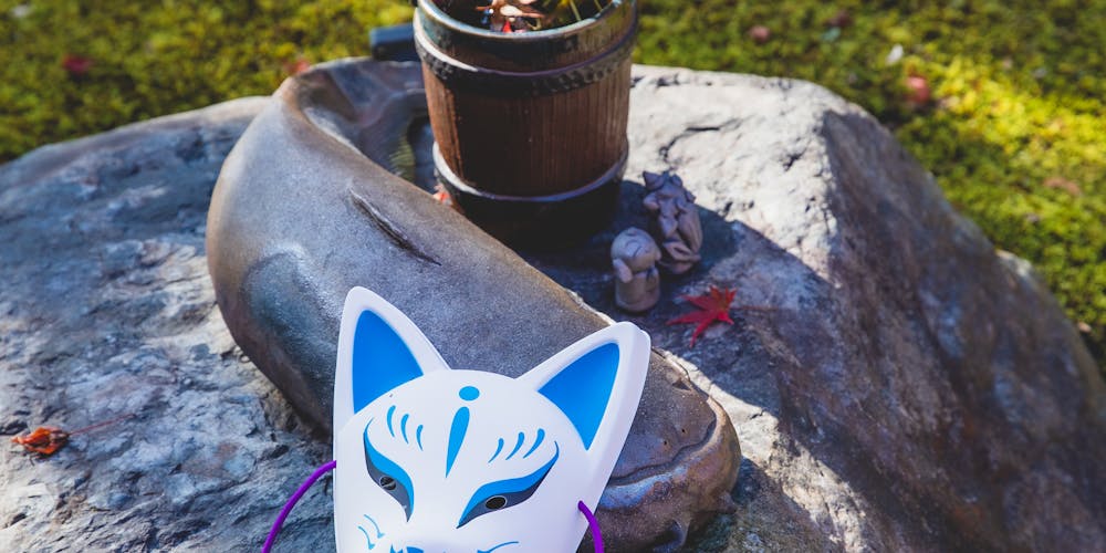 Maple the Cat Caring for Your Feline Friend