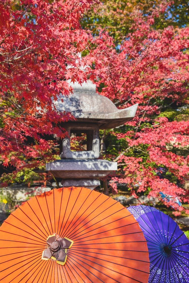 Traditional Japanese Garden With Lanterns