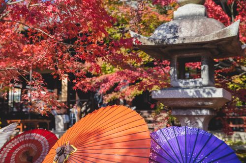 Free Traditional Japanese lantern in garden with maple trees and paper colourful umbrellas in sunny day Stock Photo