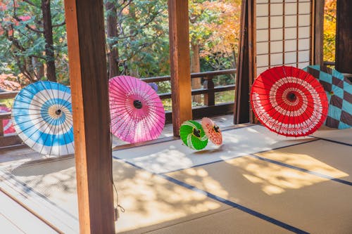 Multicolored paper oriental umbrellas placed on floor in room and on terrace near entrances in sunny autumn day near trees