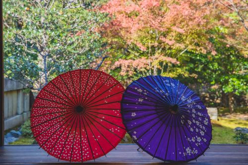 Free Red and blue paper Chinese umbrellas placed on floor on terrace near trees with green and red leaves in sunny day in fall Stock Photo