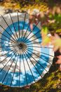 Big white and blue paper Japanese umbrella placed on green grassy meadow near foliage with tree twig with leaves in nature in sunny summer day