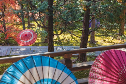 Chinese umbrellas on terrace and near trees