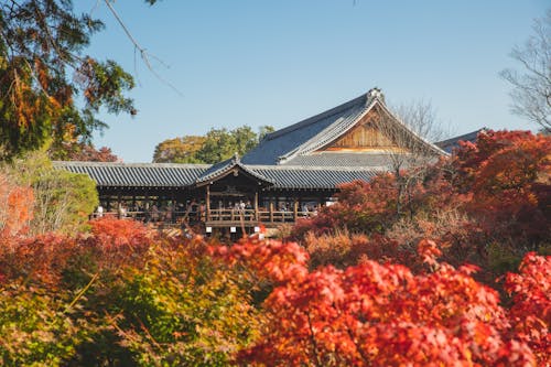 Exterior of ancient Tofukuji Temple located in Kyoto surrounded with trees with red and green leaves under blue cloudless sky in sunny day in fall