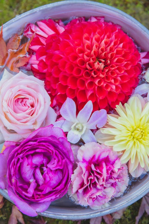 Different fresh colorful flowers in bucket in water