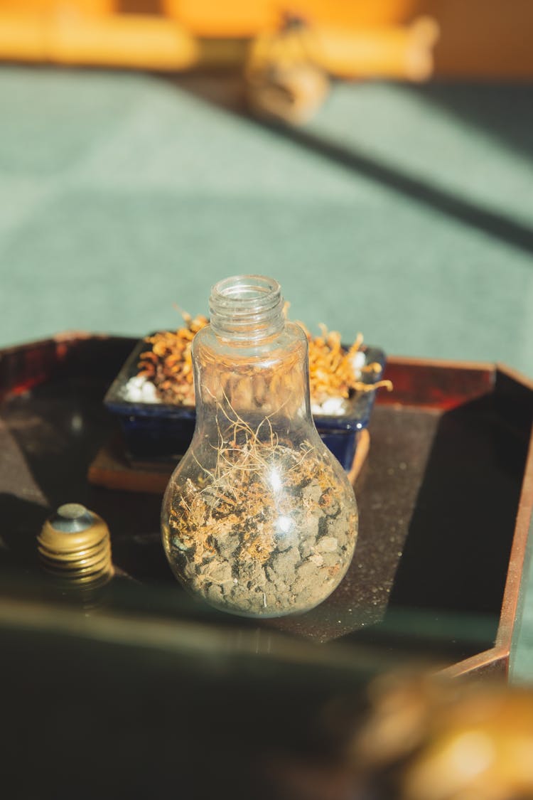 Light Bulb With Dry Herbs And Rocks In Room In Box