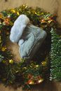 Booties and green Christmas wreath