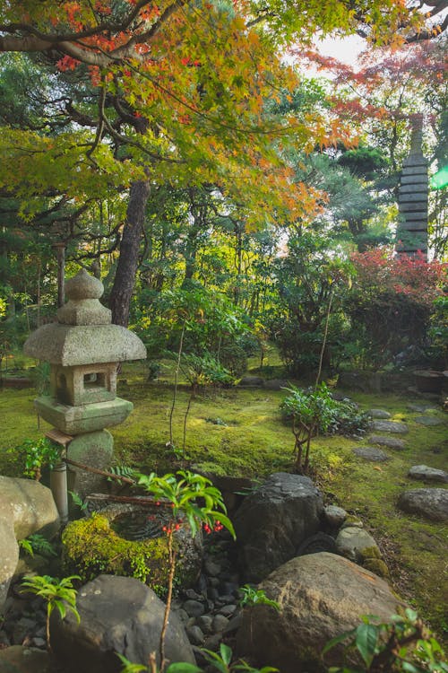 Japanese park in oriental style with mossy ground and stone structure placed near rocks and lush green trees in nature