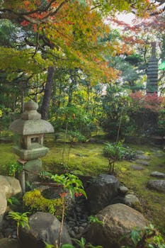 Japanese park in oriental style with mossy ground and stone structure placed near rocks and lush green trees in nature
