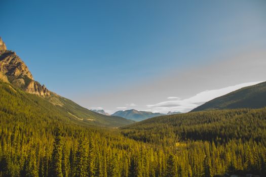 Hilly terrain covered with dense green coniferous trees located near mountainous area against cloudless sky in nature on summer day
