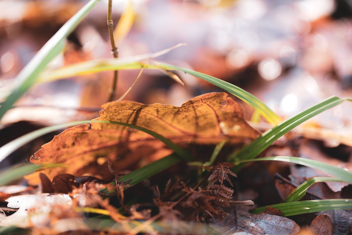 Diagram-style layout of foods supporting sleep like whole grains, nuts, and vegetables around a clock