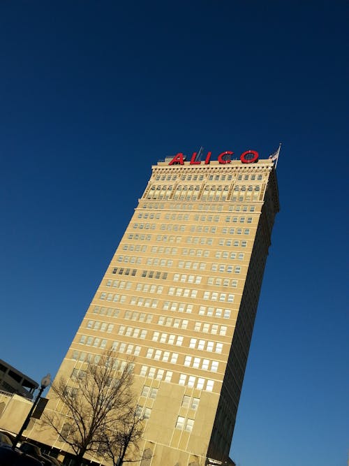 Free stock photo of alico, architectural building, blue sky