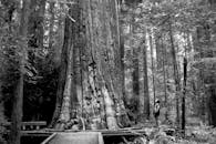 Grayscale Photo of Man Walking on Wooden Bridge