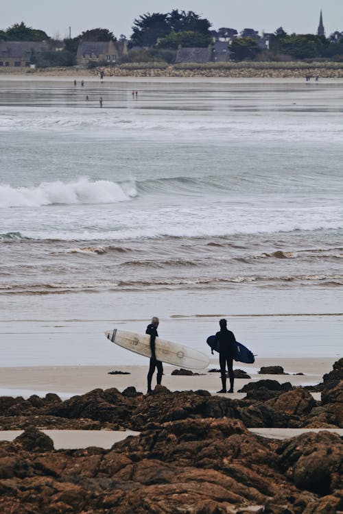 Photograph of People in Wetsuits Holding Their Surfboards