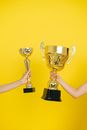 People Holding Trophies
