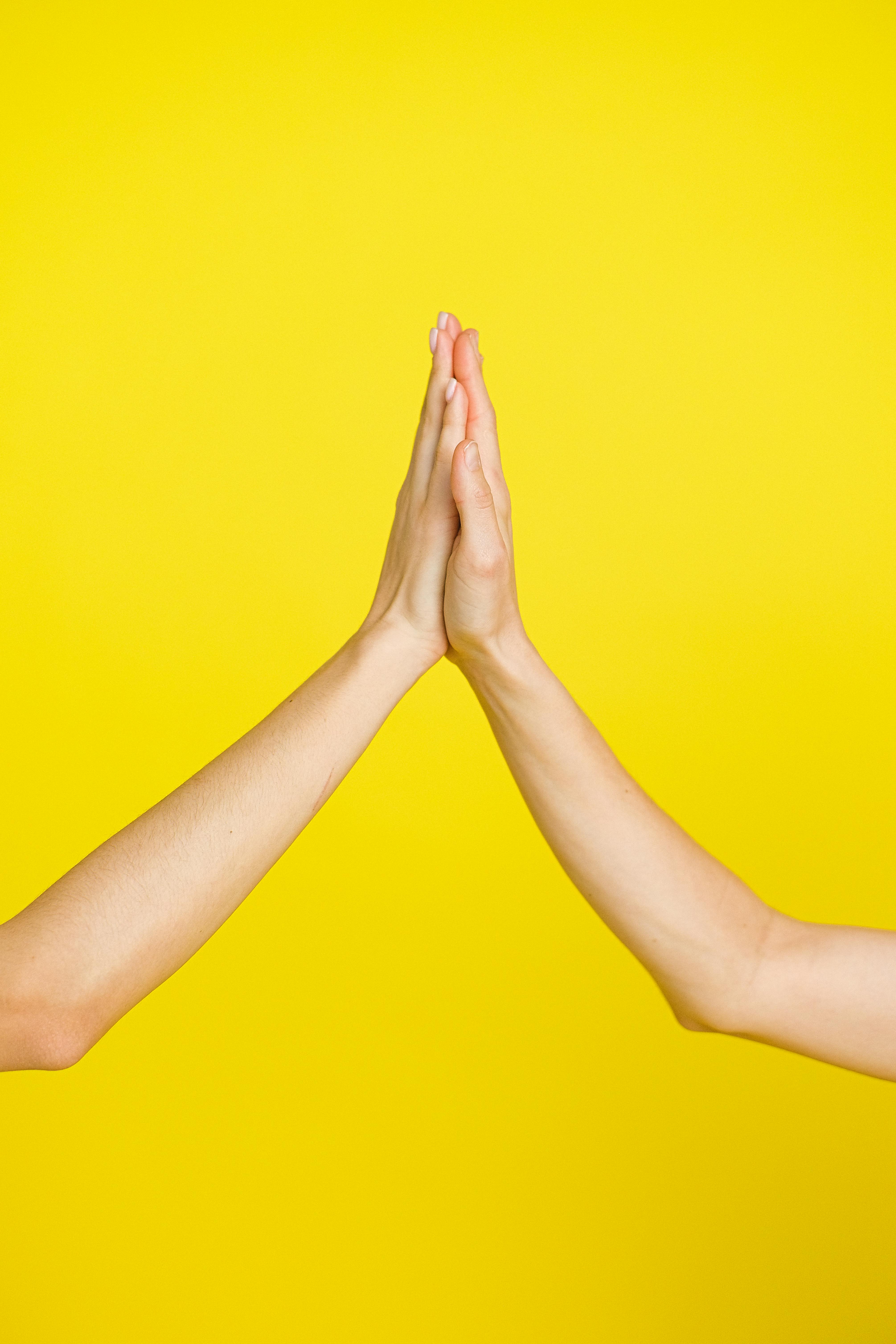 Close Up Photo of People Doing High Five · Free Stock Photo