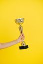 Close-Up Shot of a Person Holding a Gold Trophy
