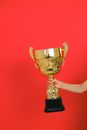 Close-Up Shot of a Person Holding a Gold Trophy
