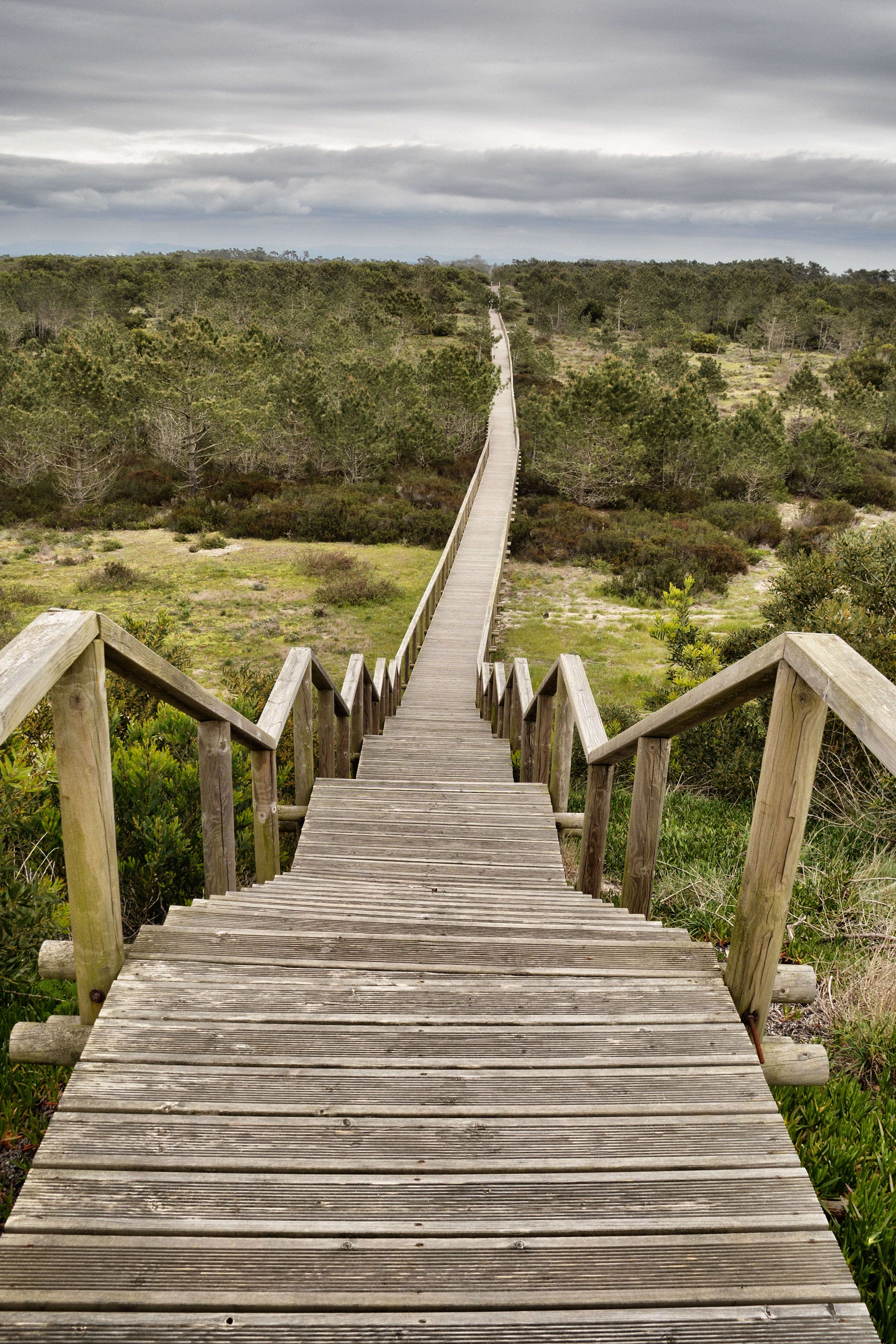 Sao Jacinto Dunes