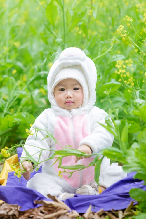 Imagine de stoc gratuită din adorabil, copil, copil asiatic