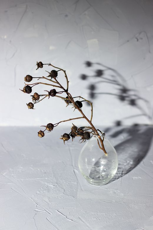 Minimalist composition with a dried plant in a round vase — Сослан on Pexels