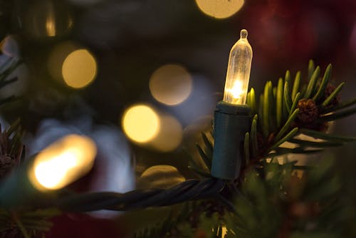Close-Up Shot of a Christmas Light