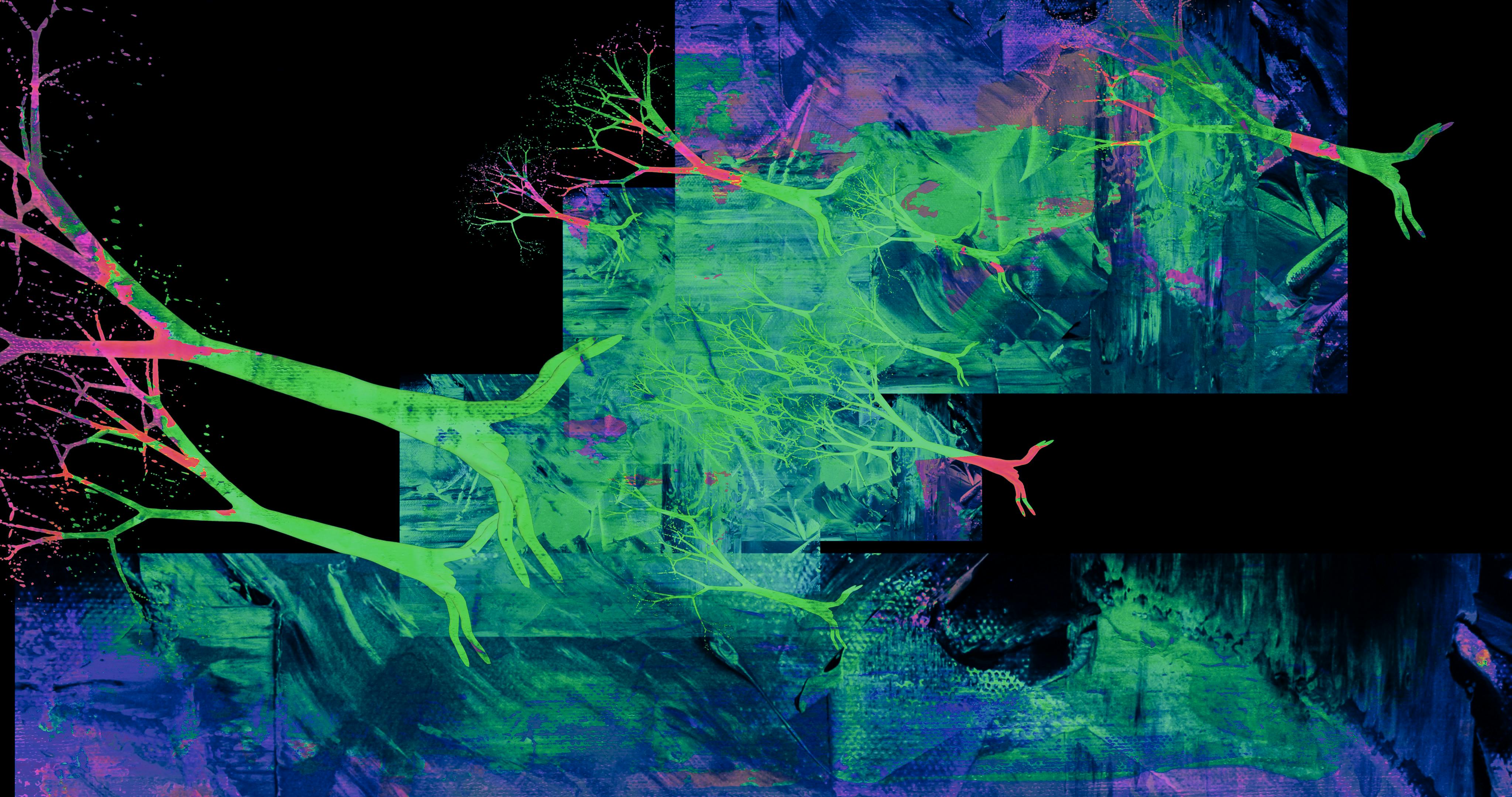 Inside the current state of generative AI in the creator economy — Photo by Steve A Johnson on Pexels