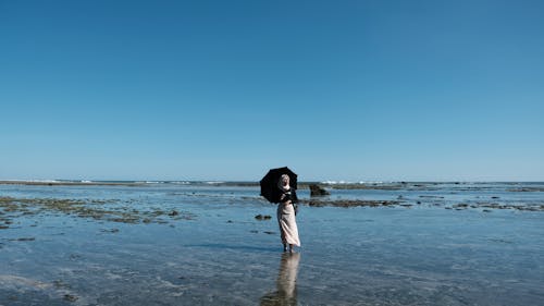 아름다운 하늘, 여름, 일요일의 무료 스톡 사진