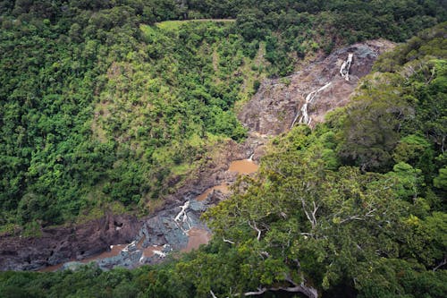Ingyenes stockfotó Ausztrália, drónfelvétel, erdő témában