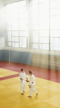 Two martial artists in kimonos shake hands on a judo mat with bright natural light.
