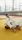 judo