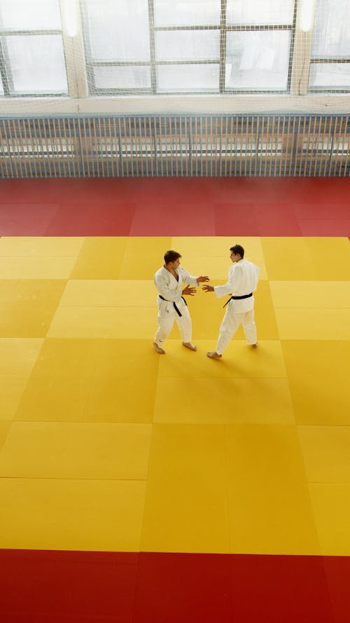 Gratis arkivbilde med aikido, aktiv, angrep