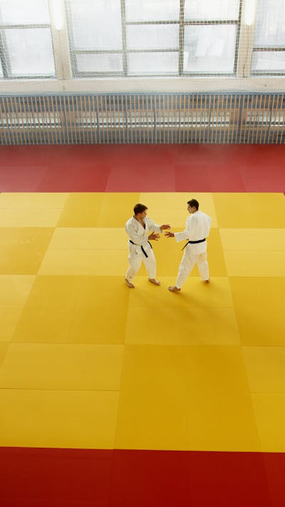 Two martial artists practicing judo techniques in a dojo training session