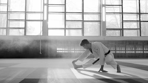 Free Foto stok gratis aikido, aktif, atlet Stock Photo
