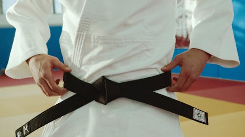 De franc Foto d'estoc gratuïta de artista marcial, cinturó negre, judo Foto d'estoc