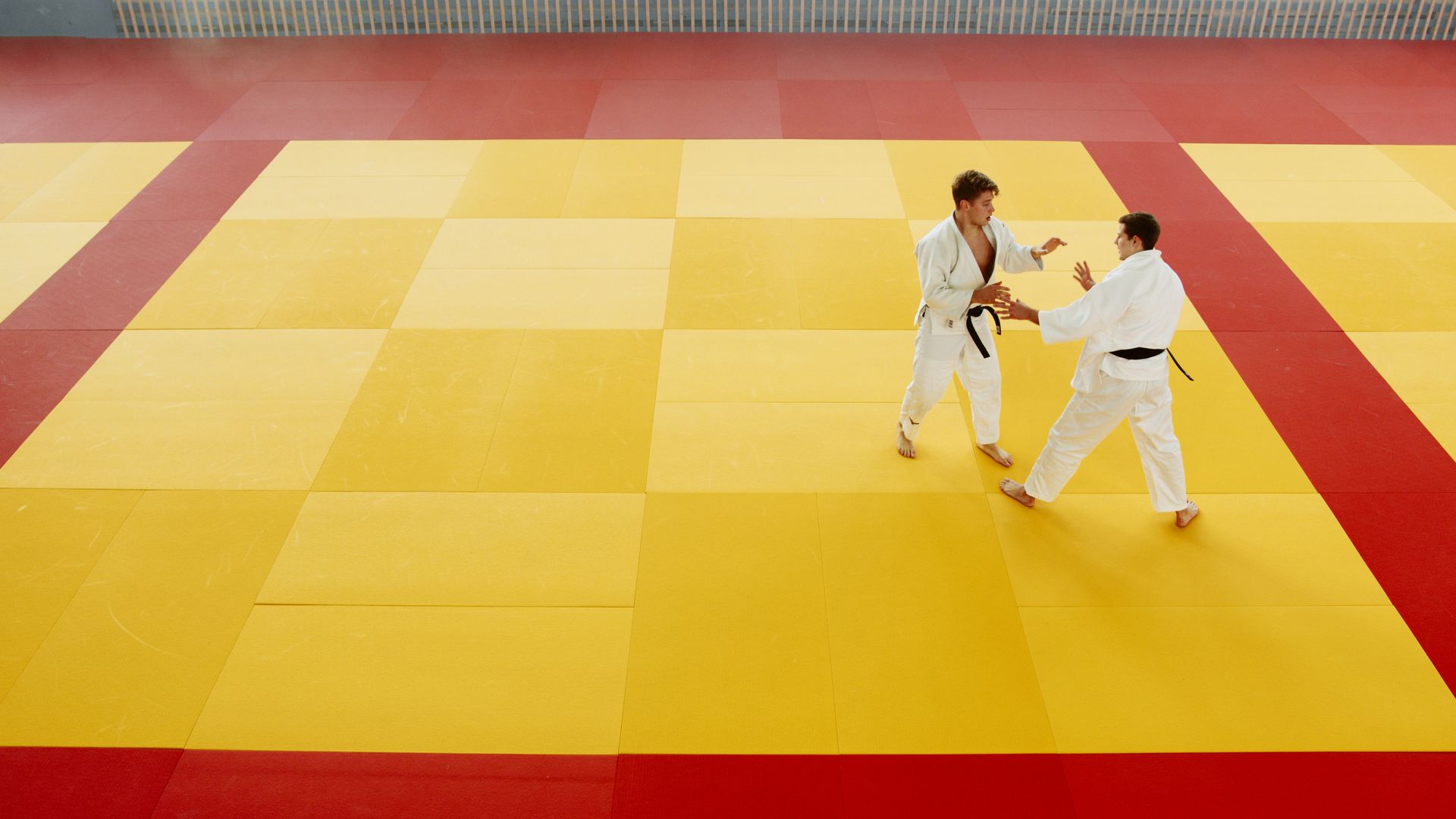 Aikido practitioners demonstrating a technique in the dojo