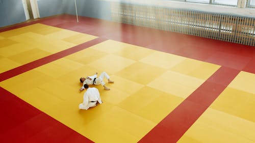 Fotos de stock gratuitas de agotado, aikido, arte marcial