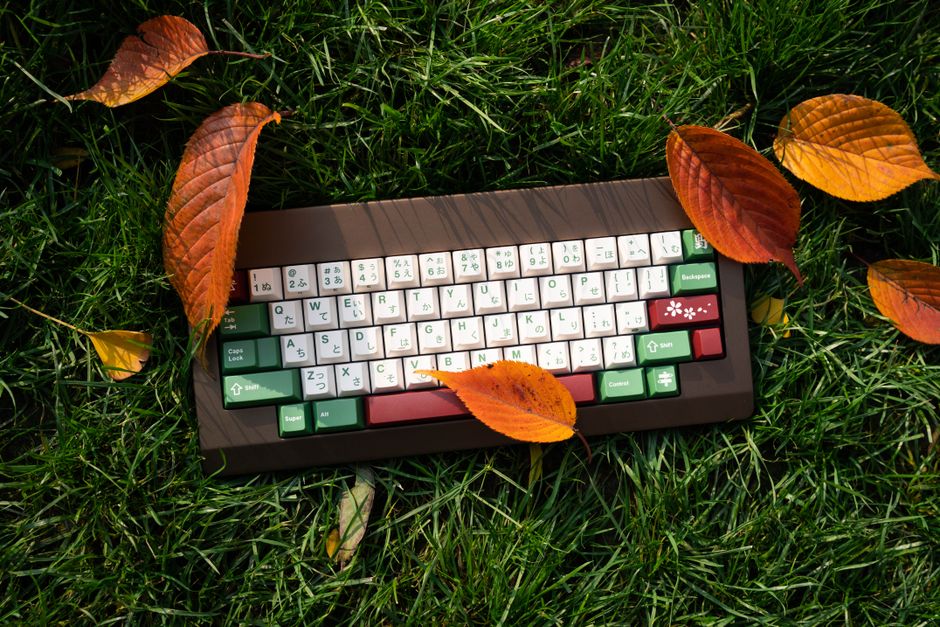 A vibrant keyboard placed among autumn leaves on lush green grass.