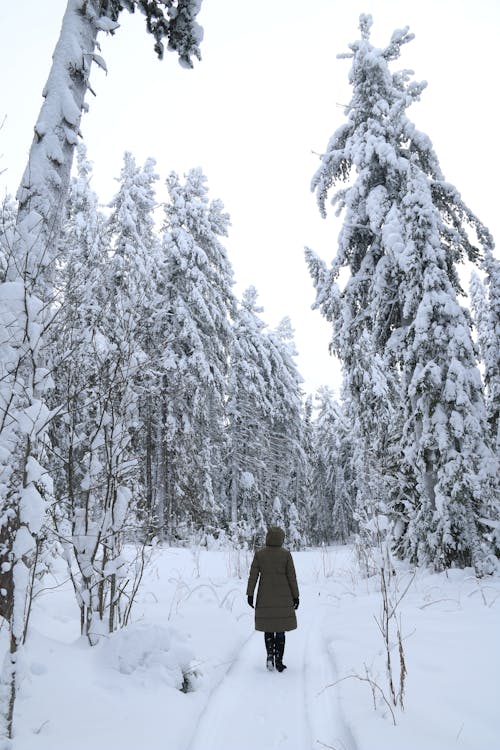 Photo of a Person in a Jacket Walking on a Path Covered in Snow